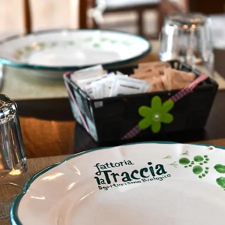 Fattoria La Traccia Κατάλυμα σε φάρμα *